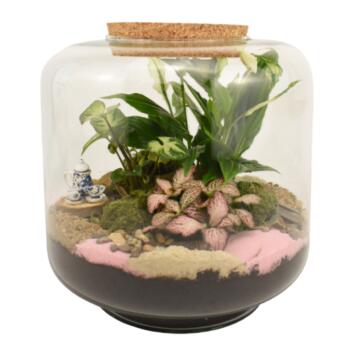 image TERRARIUM LOUNA 20