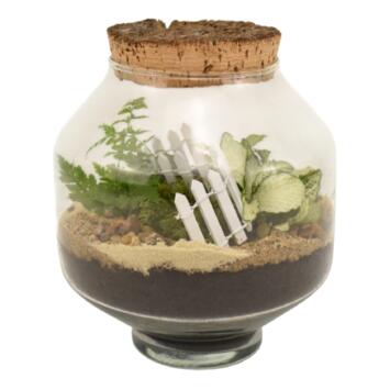 image TERRARIUM OPALINE 20