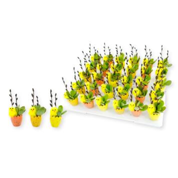 image SUCCULENTE OEUF CERAM