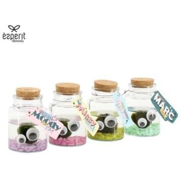 image COMPO PLANTE AQUATIQUE BOCAL