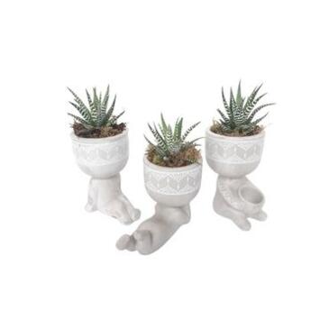 image CACTUS HAWORTHIA CERAM PERSONNAGE