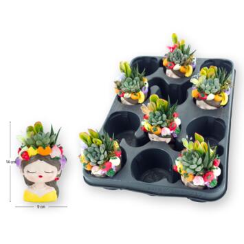 image SUCCULENTE CERAM PERSONNAGE FRUITE