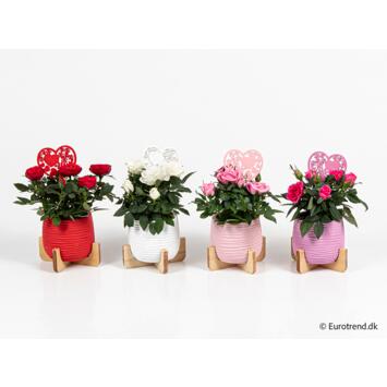 image ROSIER CERAM DECO