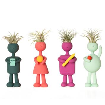 image TILLANDSIA IONANTHA PERSONNAGE