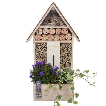 image PLANTES EXT HOTEL INSECTE