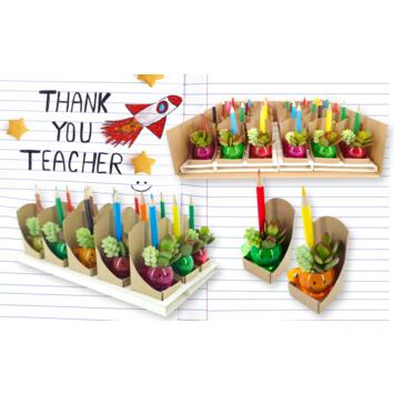 image SUCCULENTE X2 SMILEY CRAYON