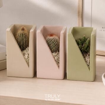 image CACTUS VARIE CERAM
