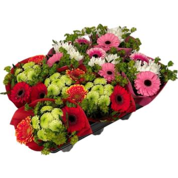 image BOUQUET EIGHTPACK
