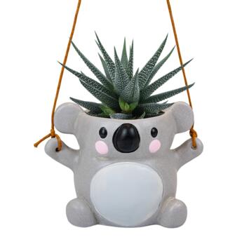image CACTUS HAWORTHIA CERAM KOALA SUSP