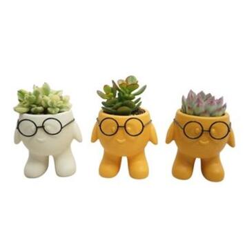 image SUCCULENTE CERAM PERSONNAGE
