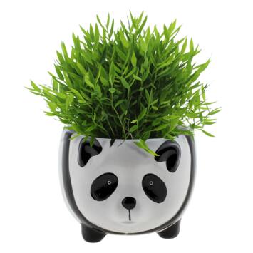 image POGONATHERUM MONICA CERAM PANDA