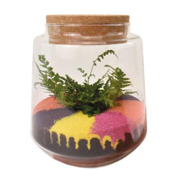 image TERRARIUM CALAVERA 20