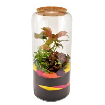 image TERRARIUM ALMAS 20