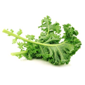 image CHOU FRISE KALE WINTERBOR BQ12