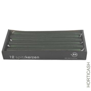 image BOITE DE 12 BOUGIES FLAMBEAU 25CM VERT FONCE