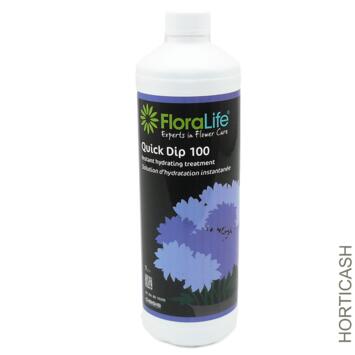 image OASIS FLORALIFE QUICK DIP 1L