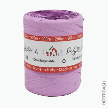 image RAPHIA SYNTH.200M VIOLET CLAIR