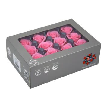 image ROSES MINI 12 TETES ROSE PASTEL