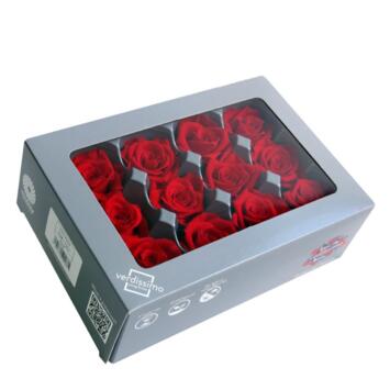 image ROSES MINI 12 TETES ROUGE x12