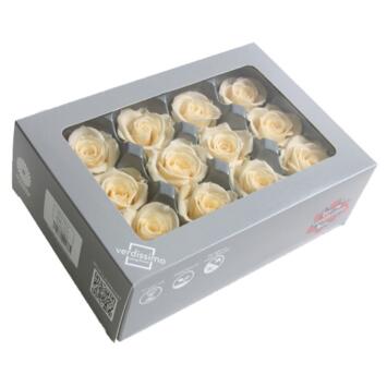 image ROSES MINI 12 TETES CHAMPAGNE x12