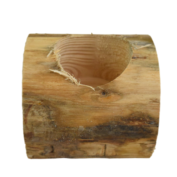 image BUCHE BOULEAU D8CM