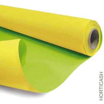 image KRAFT DUO 0.80X40M JAUNE/VERT