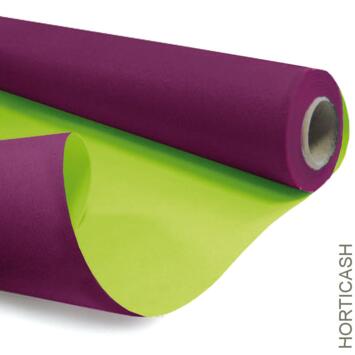 image KRAFT DUO 0.80X40M AUBERGINE/VERT