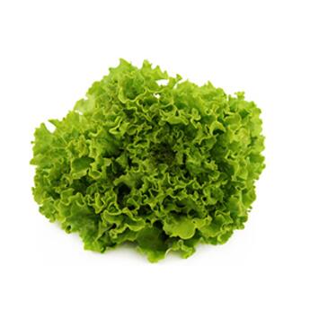 image BATAVIA MATINALE BQ24