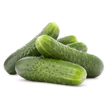 image CORNICHON PARIGYNO BQ6