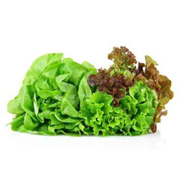 image DUO LAITUE NOVAPPIA/FLORINE BQ24