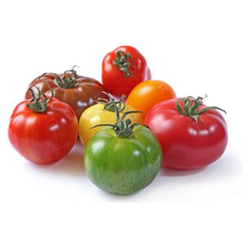 image TOMATE SAINT PIERRE BQ6