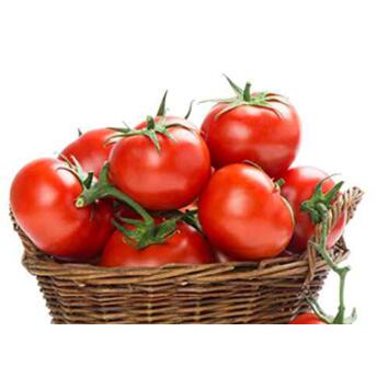 image TOMATE MAESTRIA BQ10