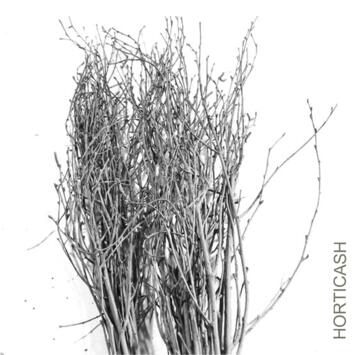 image BOULEAUX H80CM TEINTES ARGENT