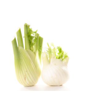 image FENOUIL VERT