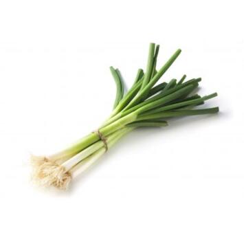 image CIBOULE