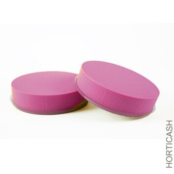 image OASIS RAINBOW TARTE S/ BASE D20CM FUCHSIA x2