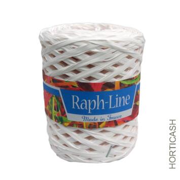 image RAPHIA SYNTHETIQUE 200M BLANC