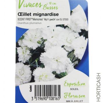 image OEILLET PLUMARIUS SCENT FIRST MEMORIES