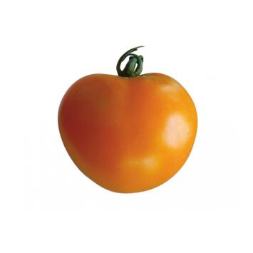image TOMATE ORANGE QUEEN