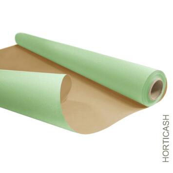 image KRAFT NAT 0.80X50M VERT CELADON