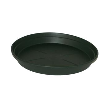 image SOUCOUPE D24CM VERT