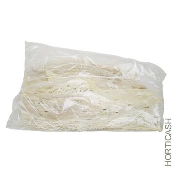 image AGAVE SKELETON 300GR BLANC