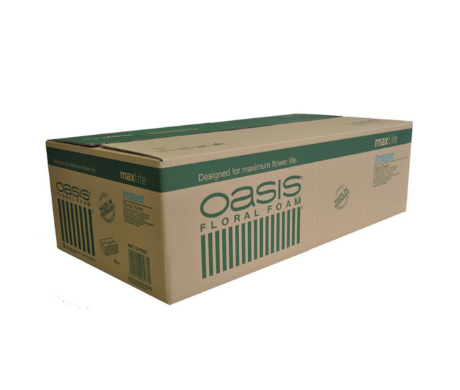 MOUSSE OASIS INSTANT BRIQUE 23X11X08CM x20