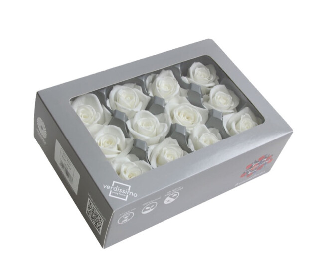 ROSES MINI 12 TETES BLANCHES x12