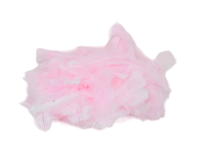 PLUMES ROSE PALE