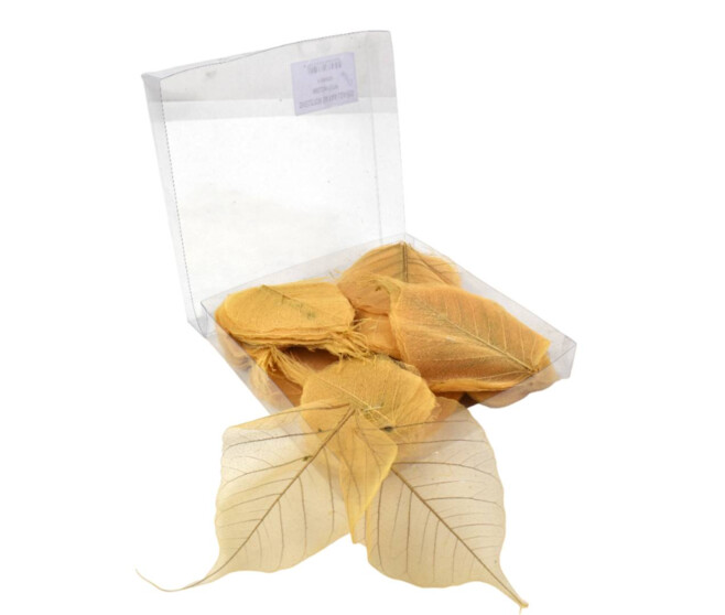SKELETON LEAVES MELON 200PCS x200