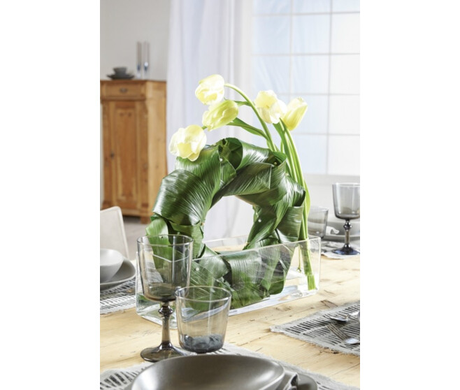 OASIS IDEAL SOLO 30CM COURONNE MOUILLABL x4