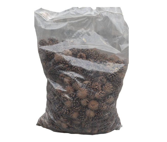POMME DE PIN 10KG