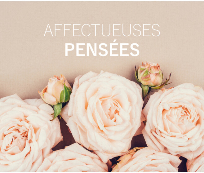 CARTE MIDI 9.7X7.7CM AFFECTUEUSES PENSEES