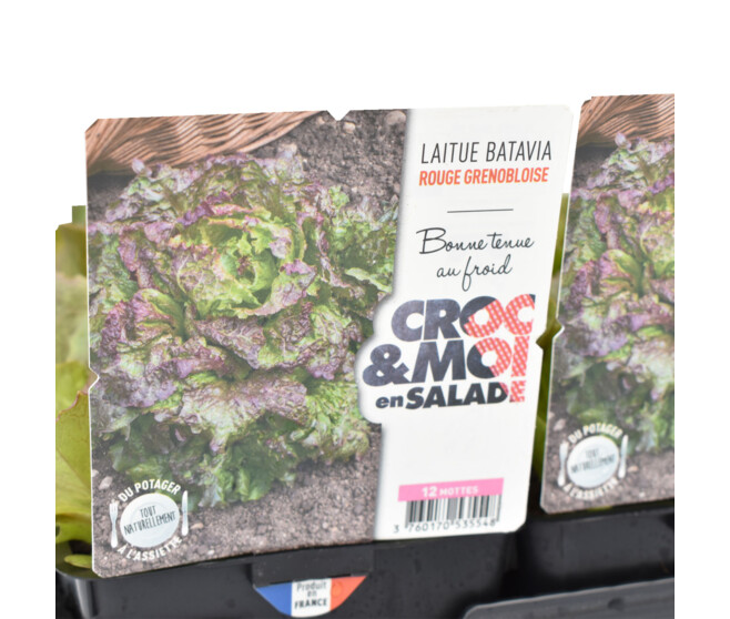 BATAVIA ROUGE GRENOBLOISE BQ12